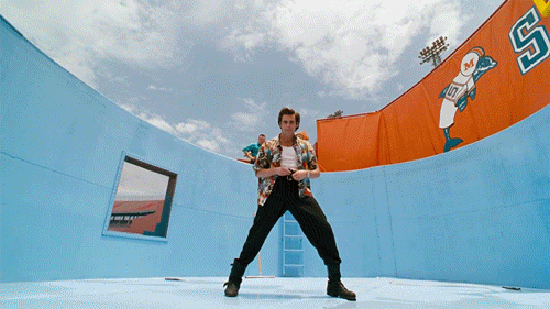 Even Ace Ventura couldn't find it, but maybe you aren't looking for a pet...?
